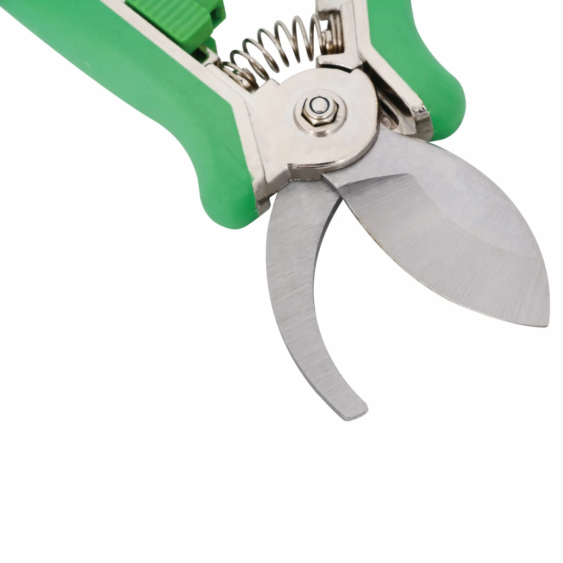 Exporter Trimmer Pruner