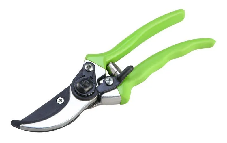 Branch Pruning Shears Factory 2024091910211588