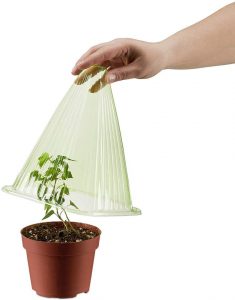 Wholesale 10PC Green Plant Cover