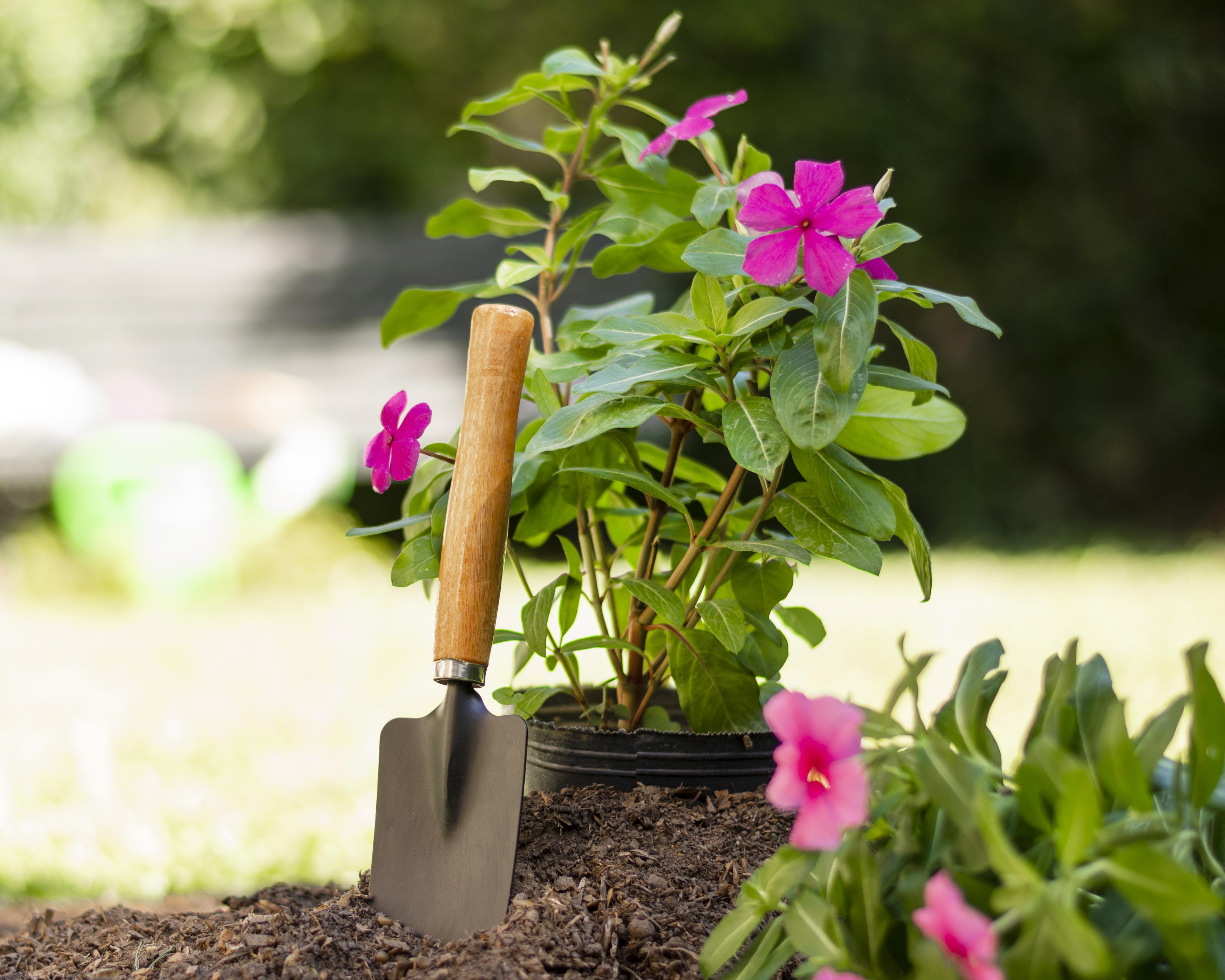 Garden Supplies Supplier