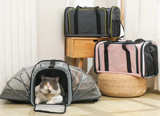 中国のマスコタス向け製品製造工場