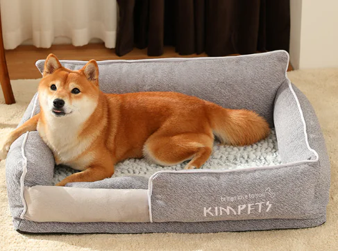 企业微信截图 17313208243374