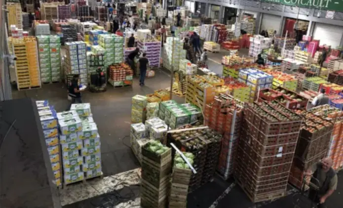 Glass Bottle Wholesale