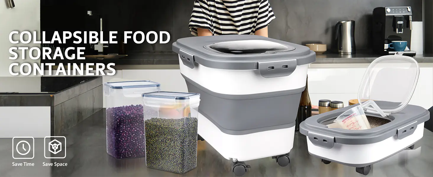 c61.5 2025030402505220