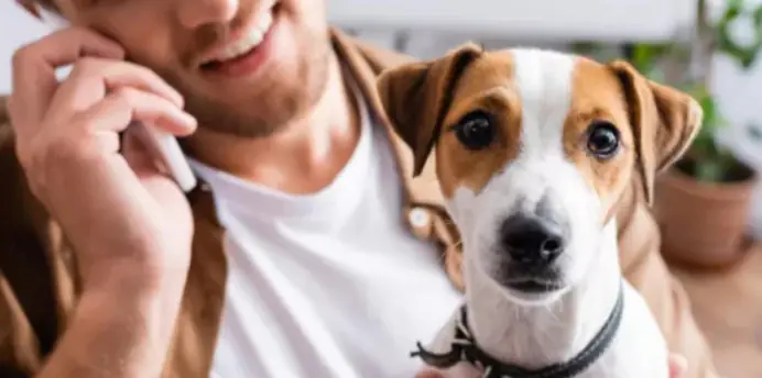 pet supplies manufacturer