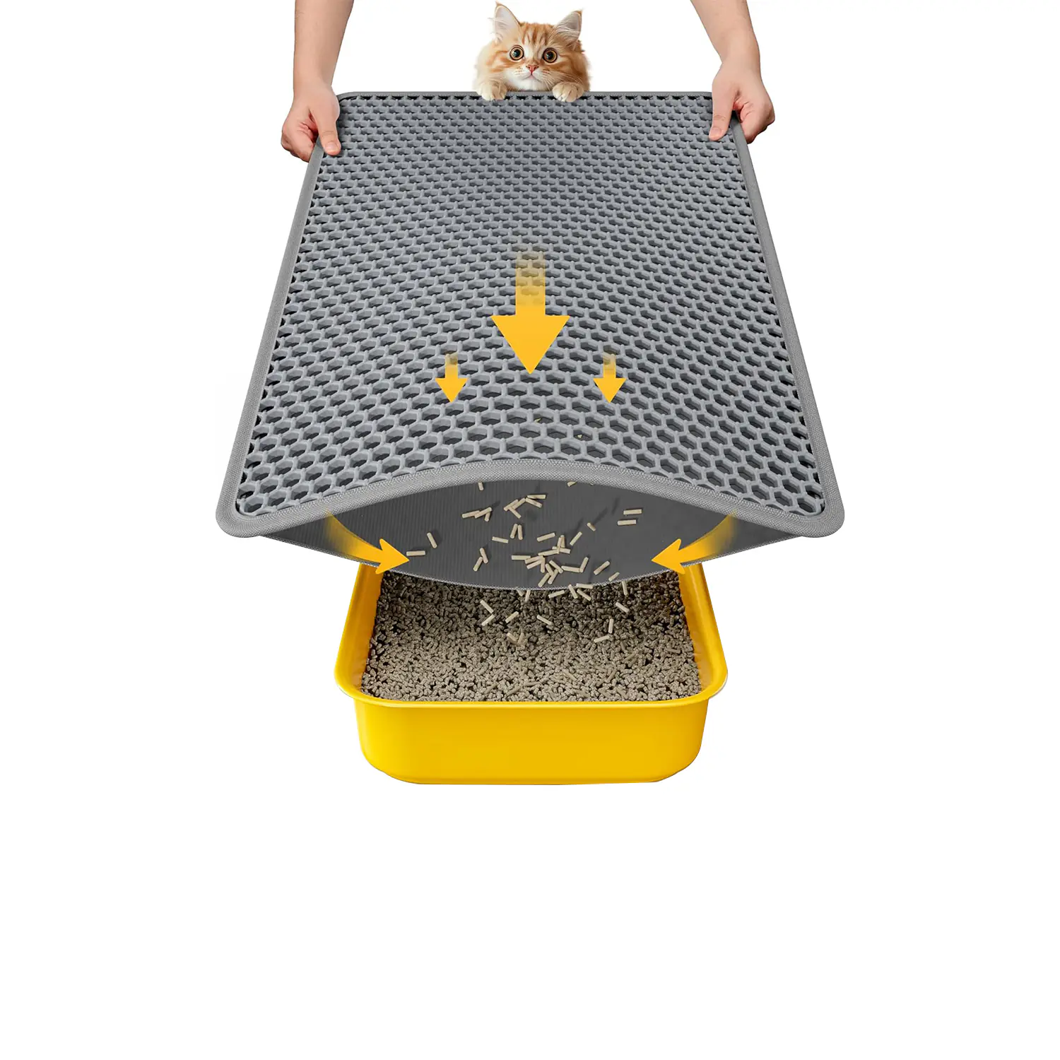 170.1 2025062702000987