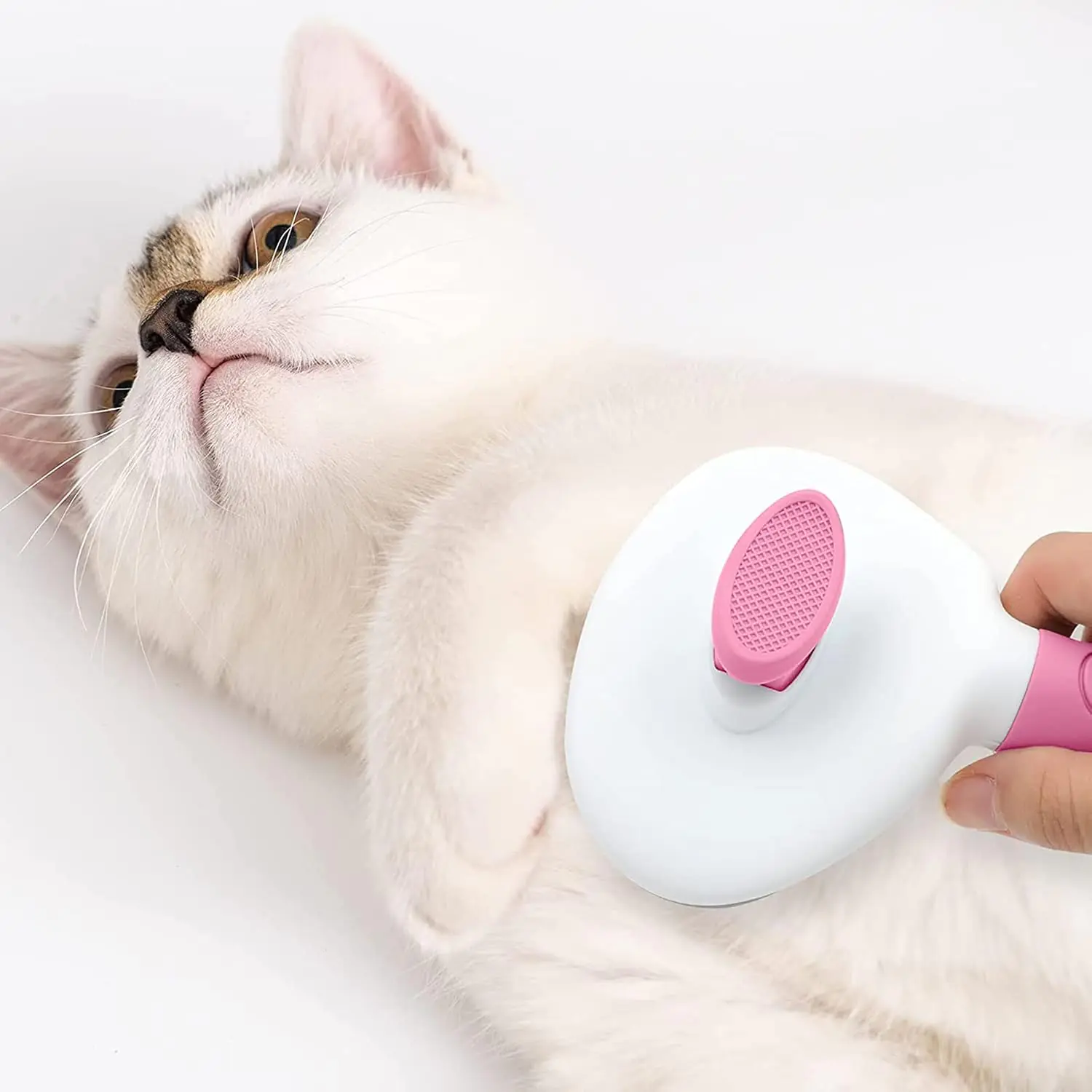 173.2 2025062703232669