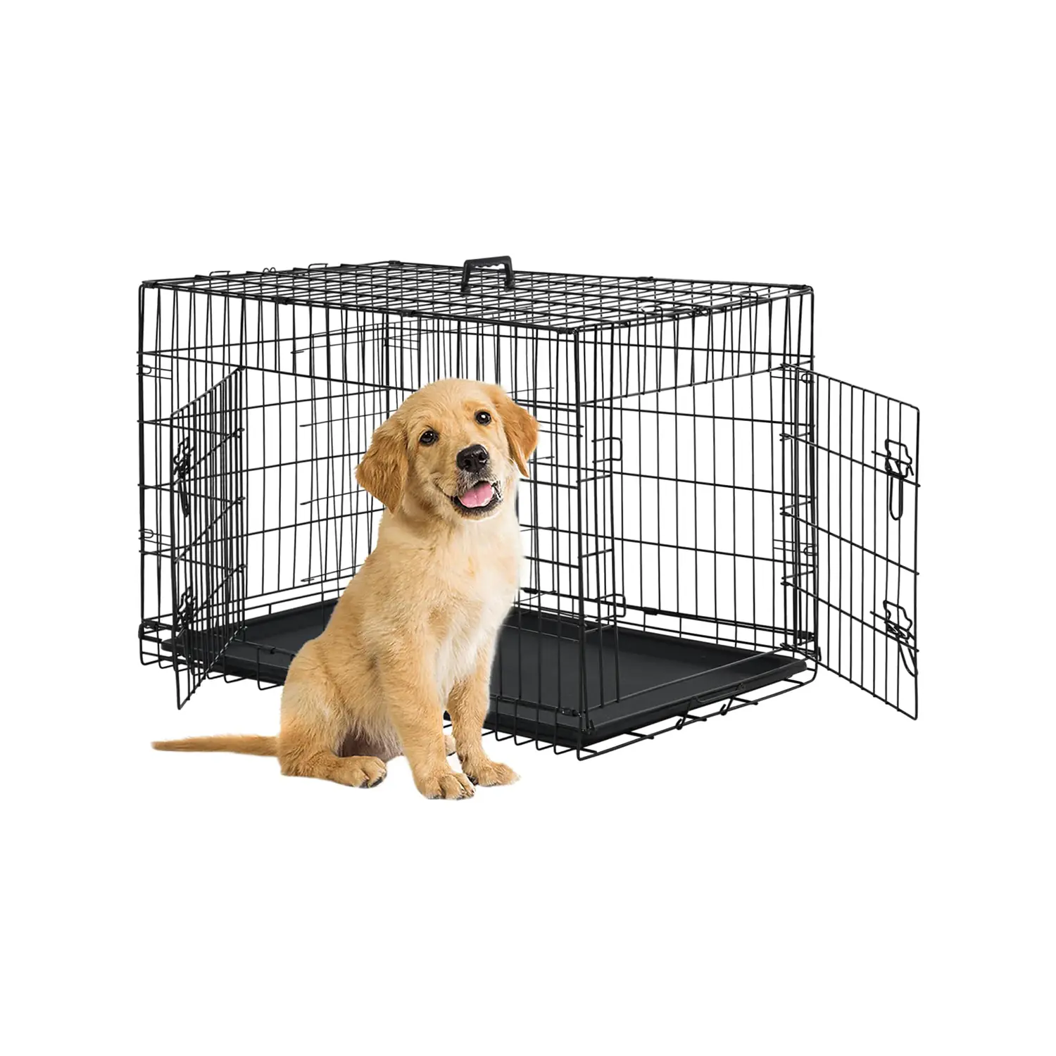 176.1 2025063001333638