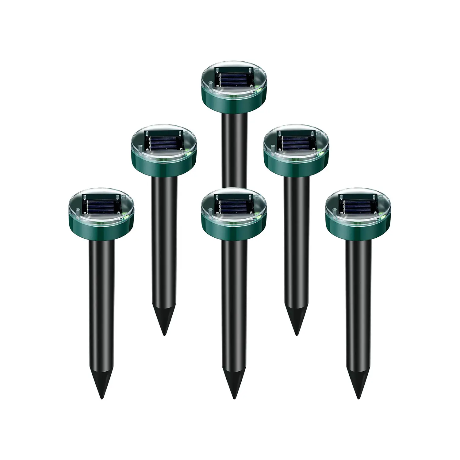 113.1 2025082809330319