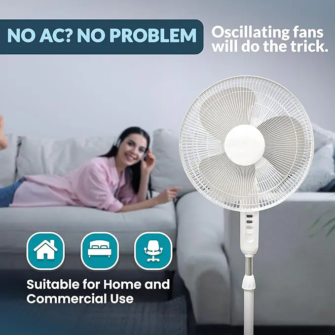 40.2 2025081208475066