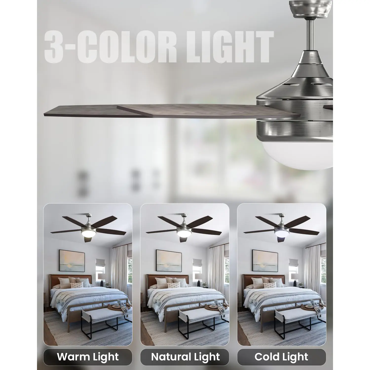 47.2 2025081306532849