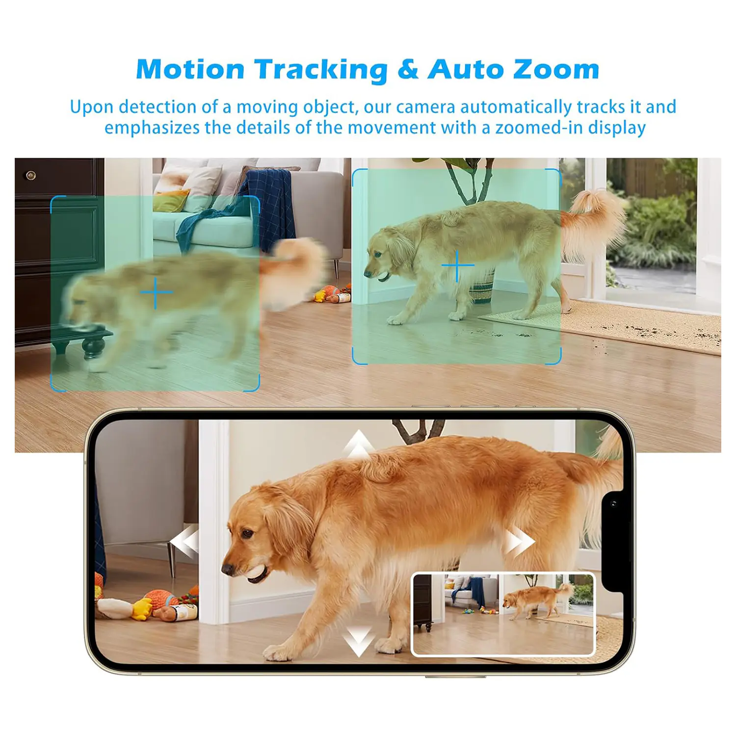 68.2 2025081901302129