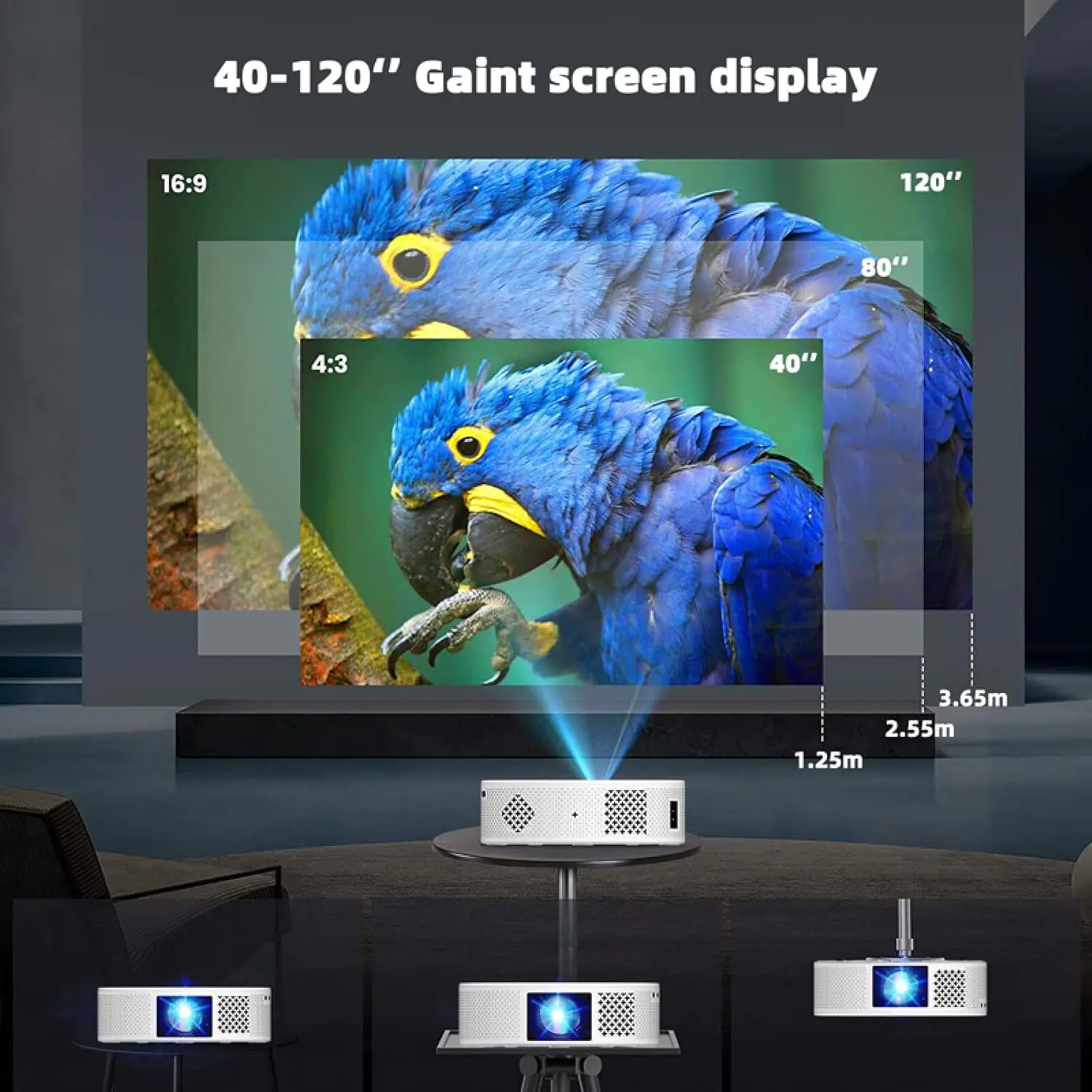 73.2 2025082002404986