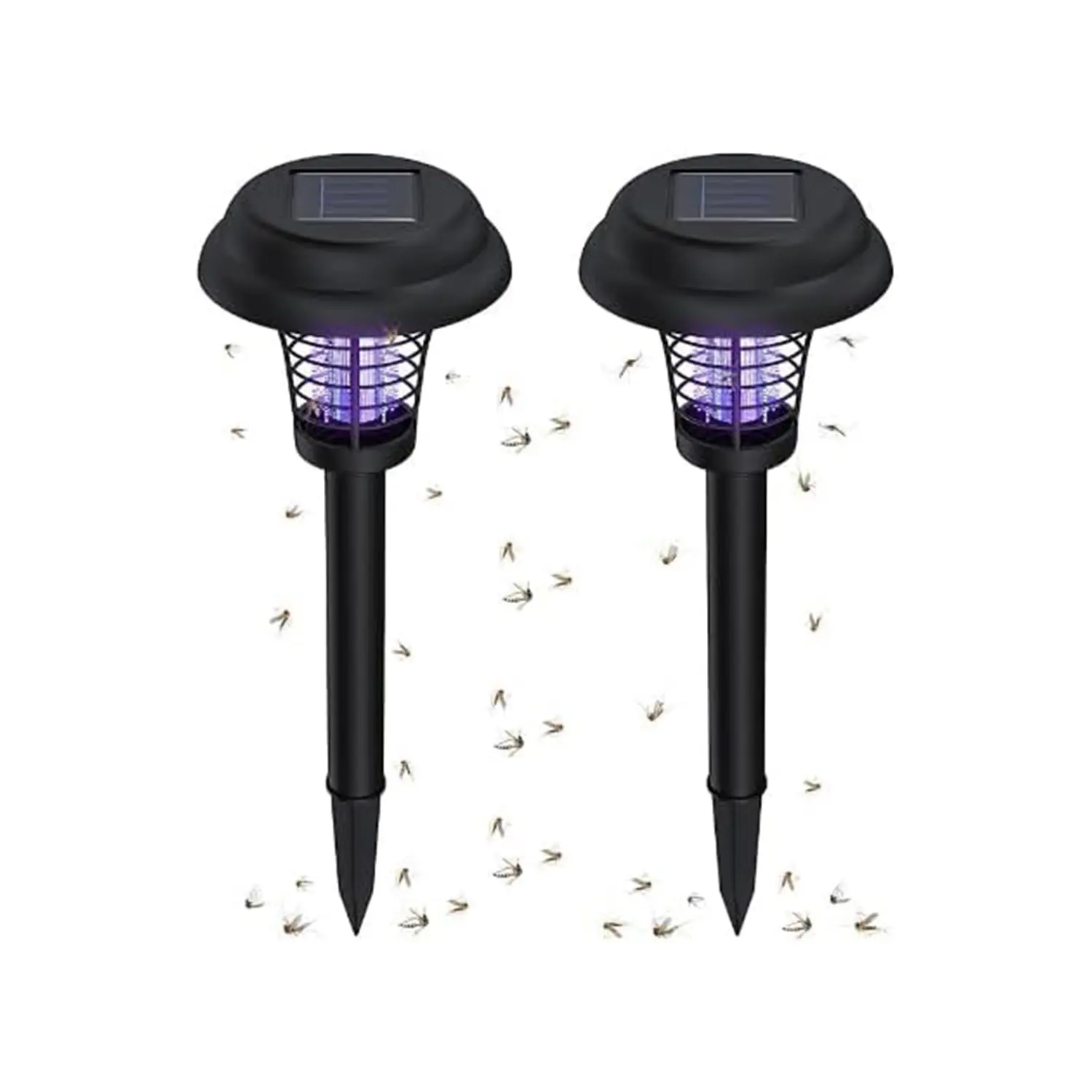 138.1 2025090402591388