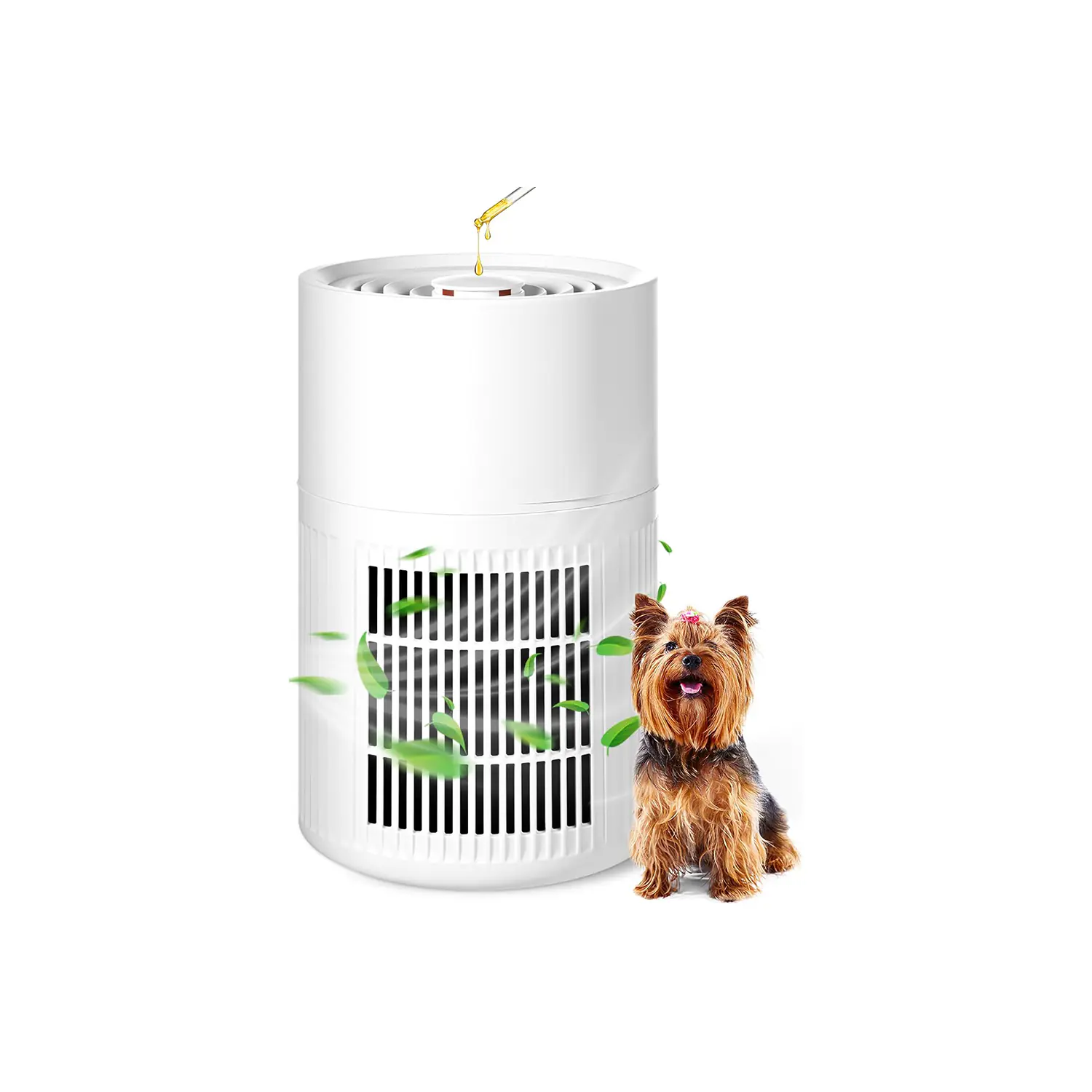 160.1 2025091109072372