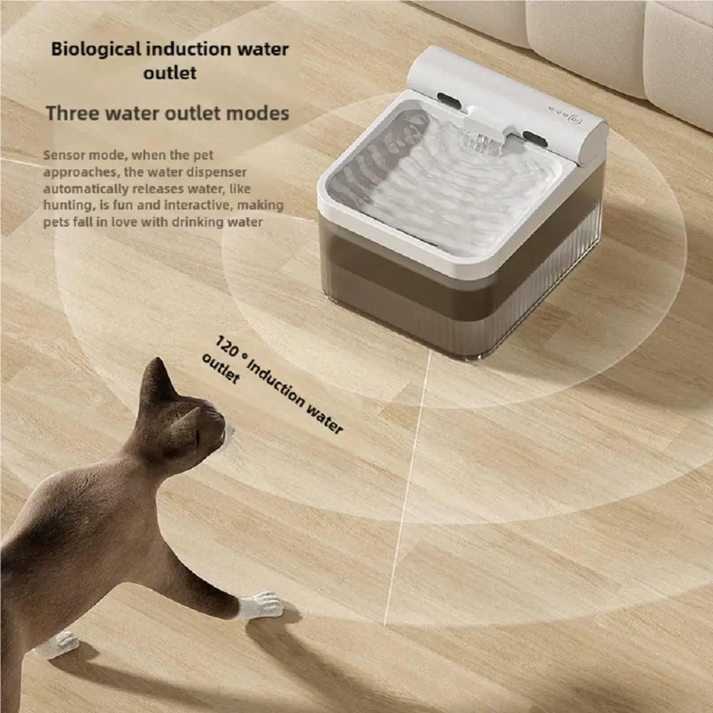 169.5 2025091206060819