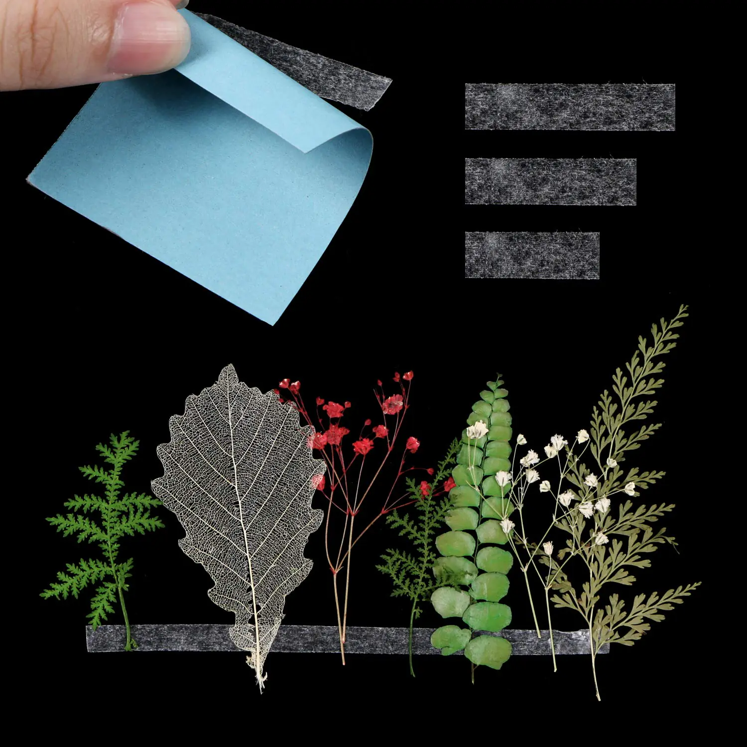 282.2 2025103106271983