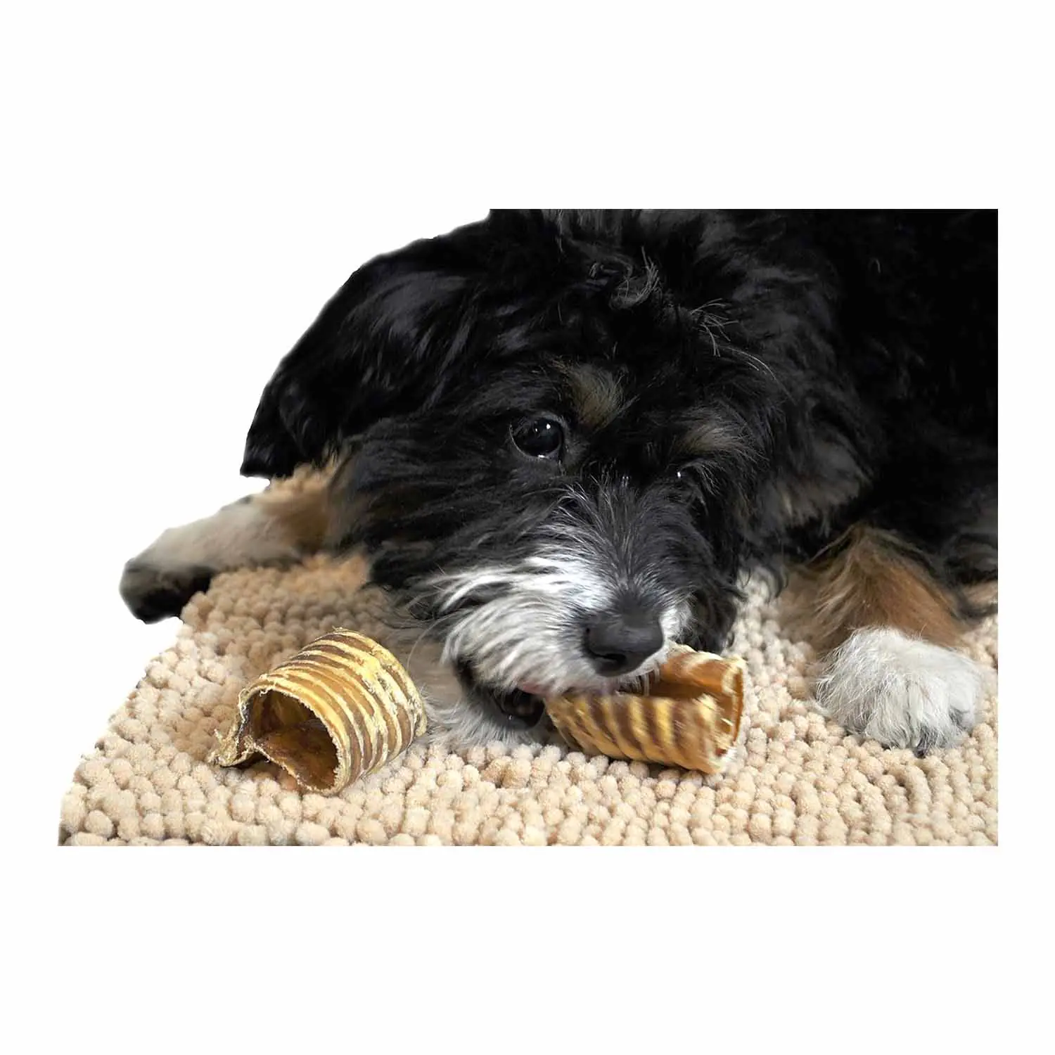 318.2 2025111101403788