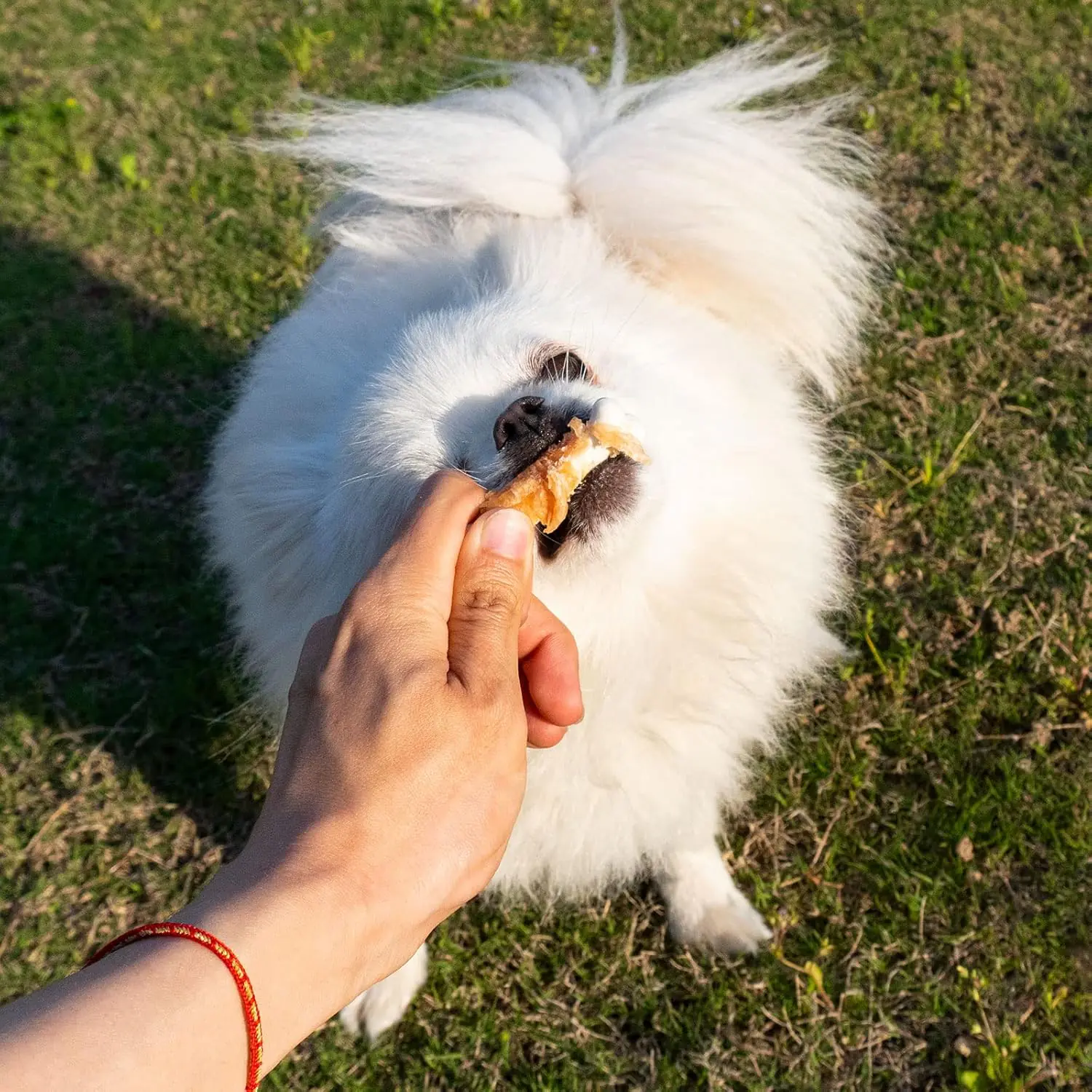 322.2 2025111201183999