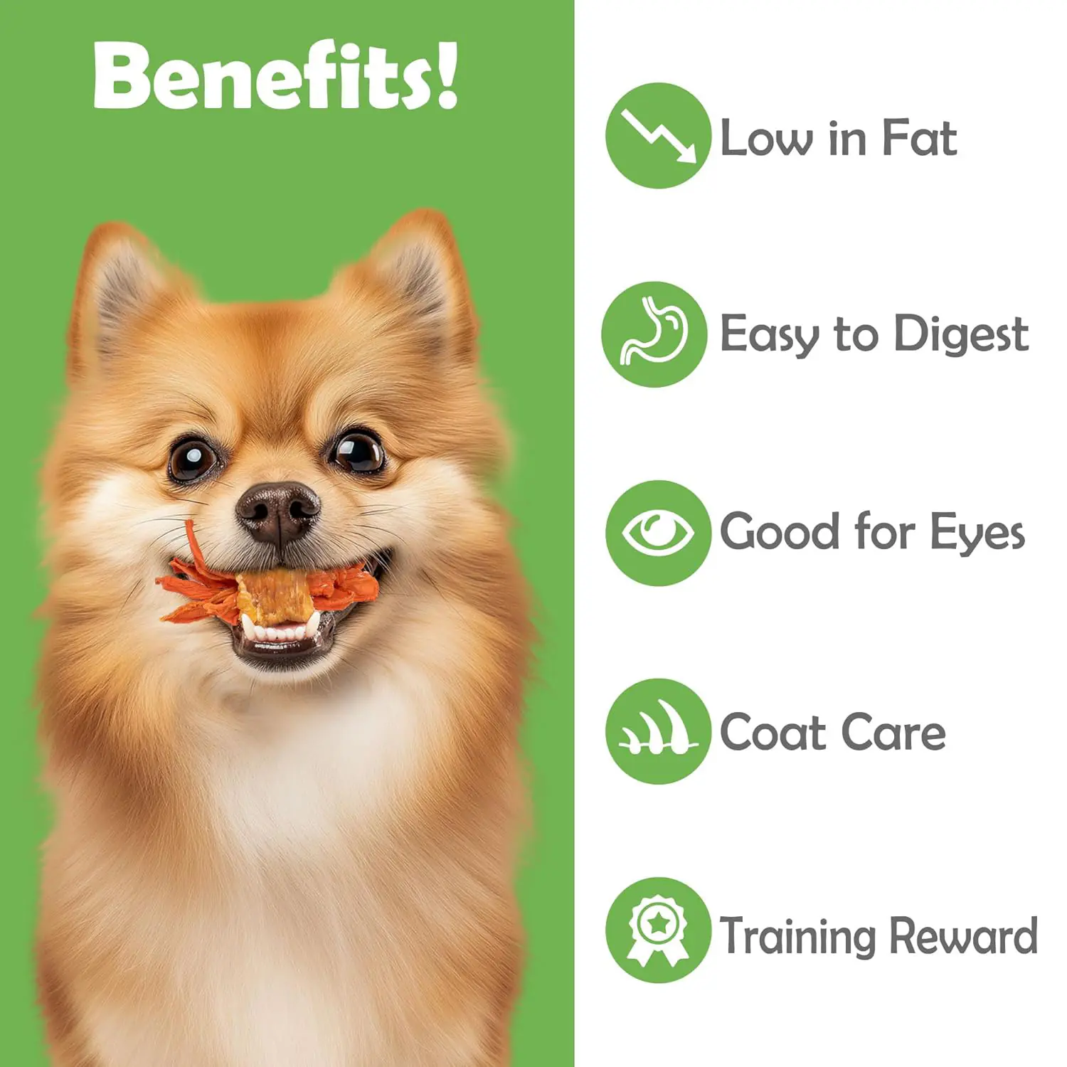 326.2 2025111209504494