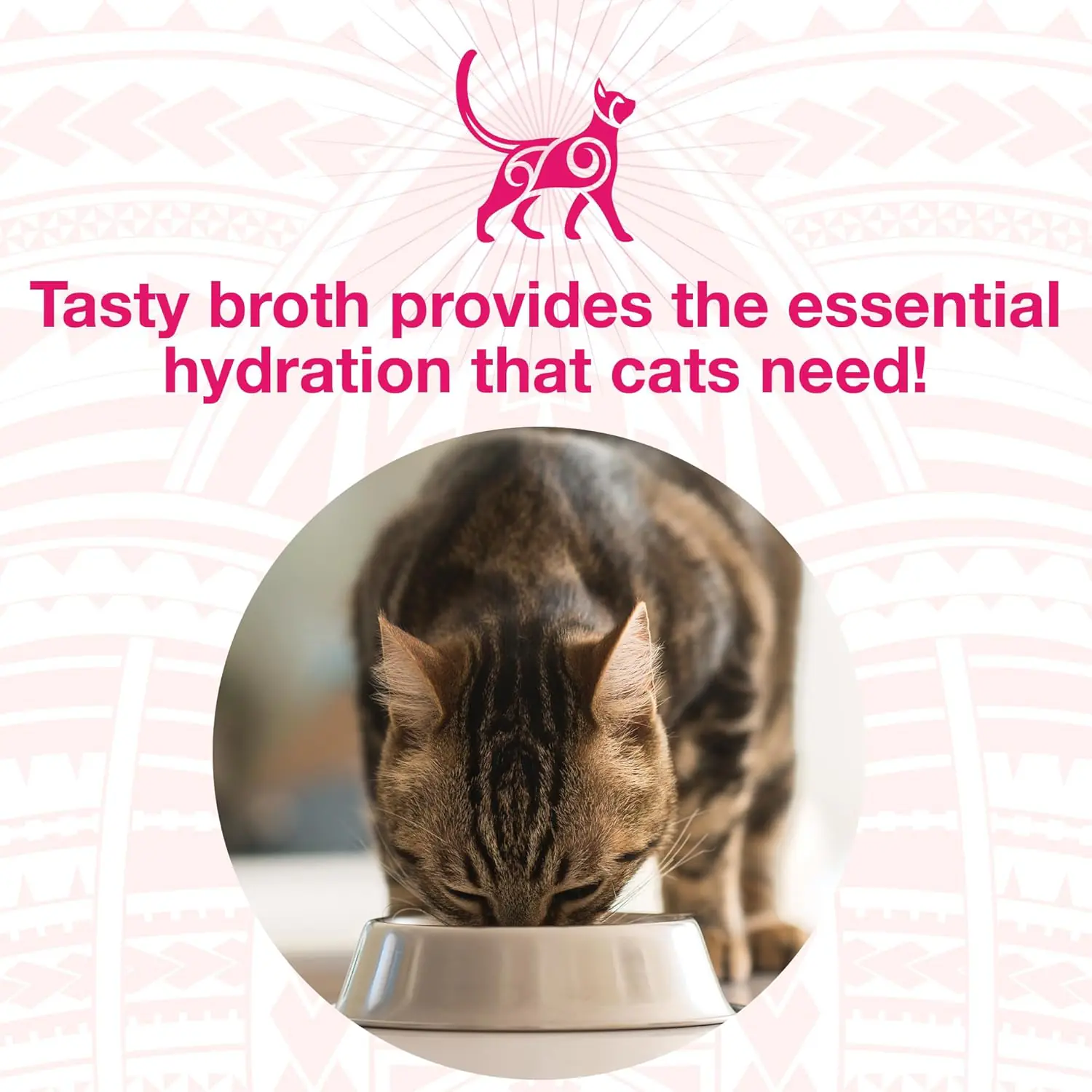 334.2 2025111403490893