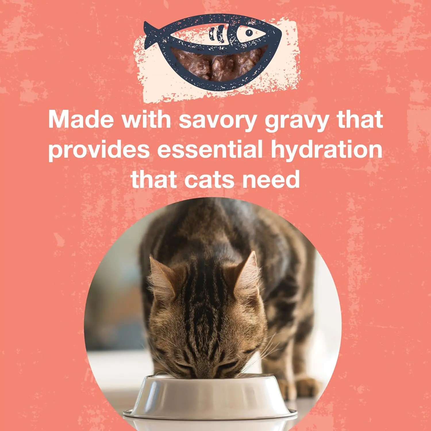 335.2 2025111701165597