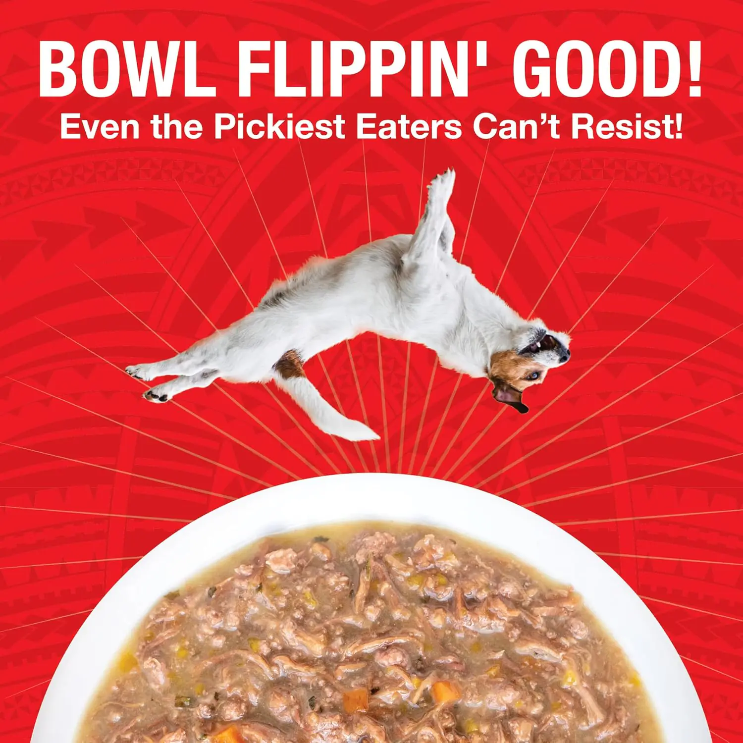 336.2 2025111701351079