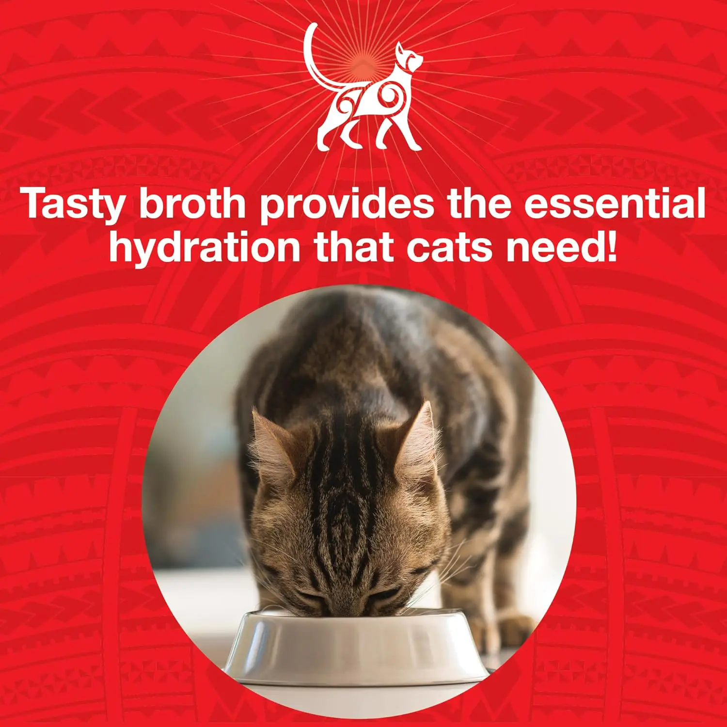 337.2 2025111701491579