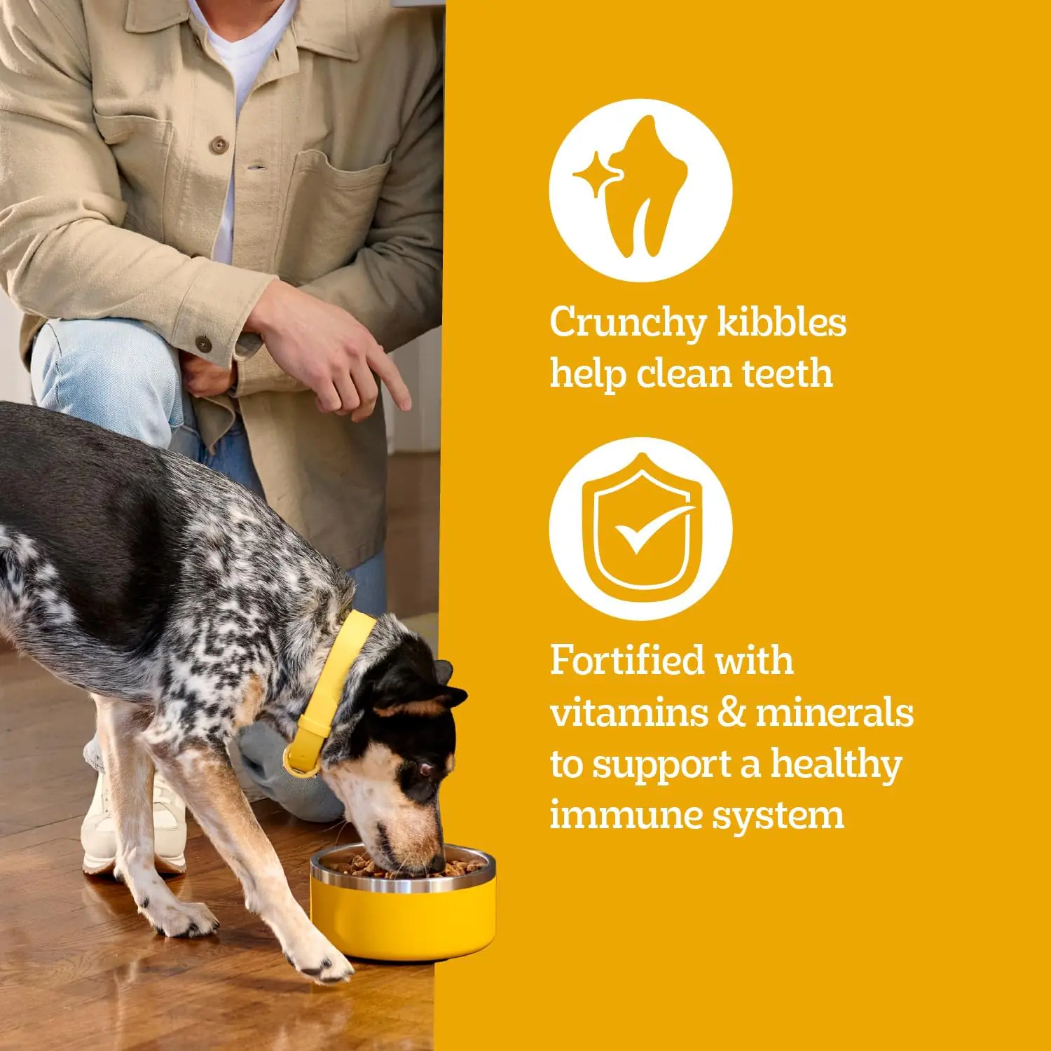 348.2 2025111902045243