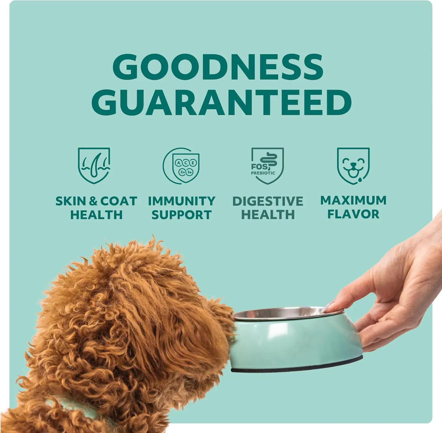 350.2 2025111906023958