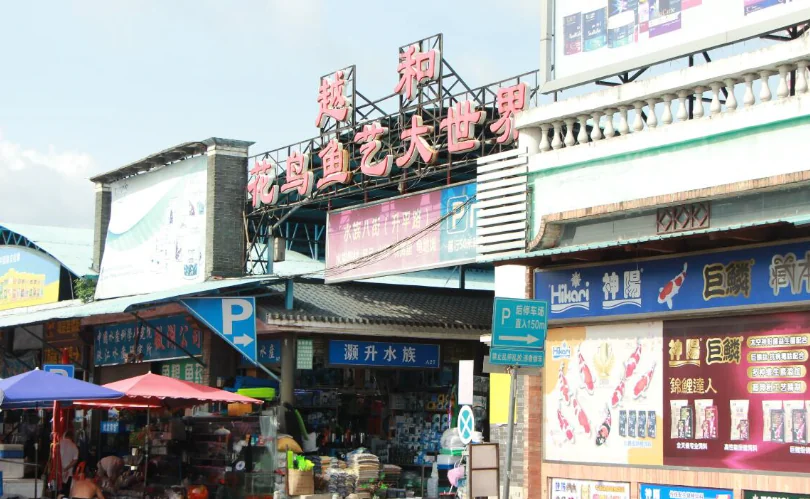 Guangzhou Huadiwan Market